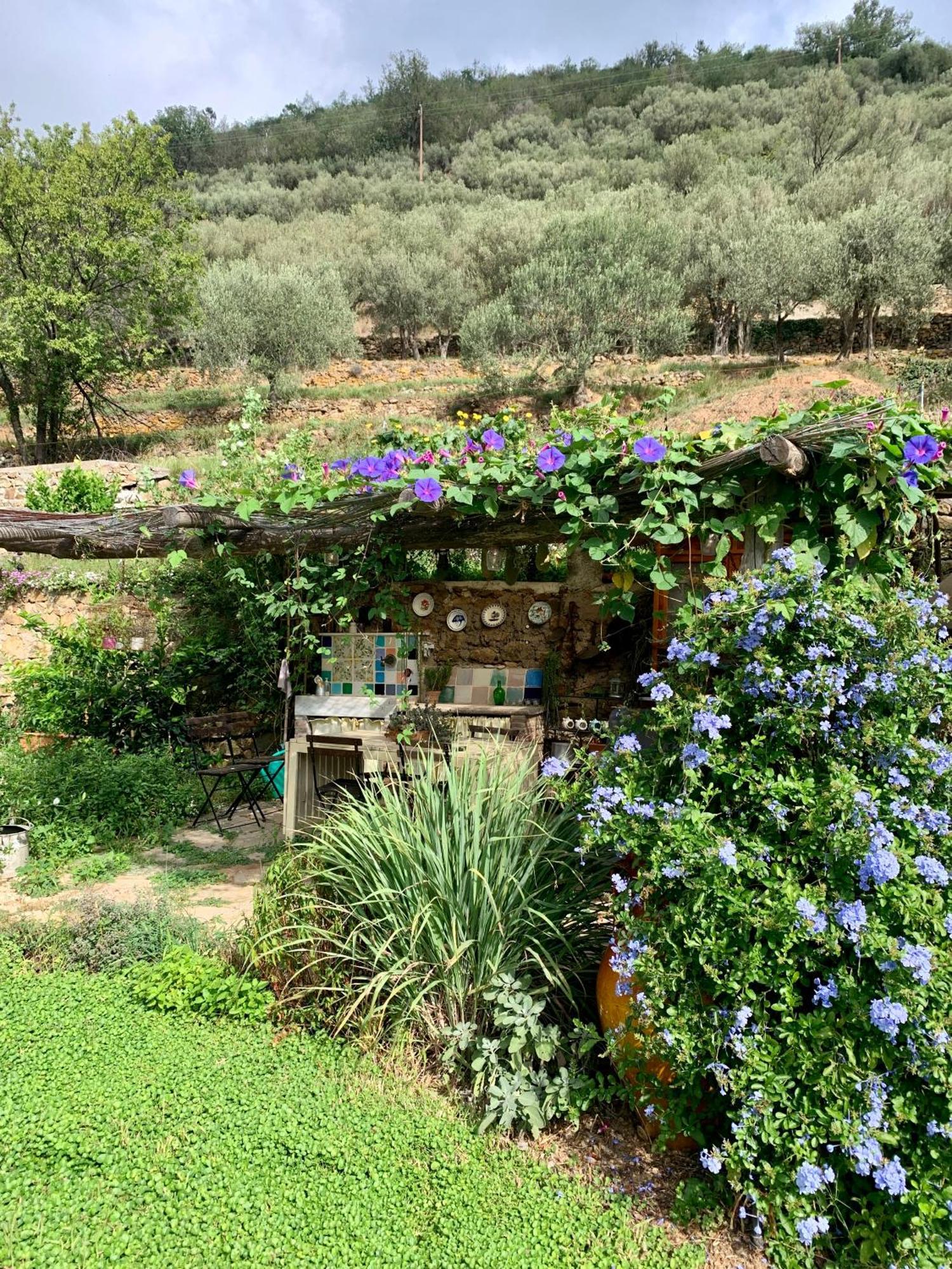 B&B Ca De Badin Noli Dış mekan fotoğraf